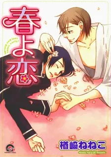 Haru yo Koi cover