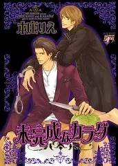 Mikansei na Karada cover