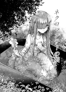 Necromancer no Musume cover