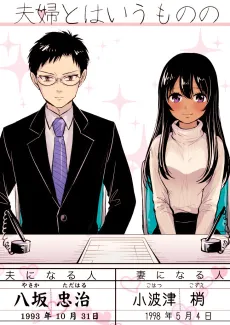 Fuufu to wa Iu Mono no cover