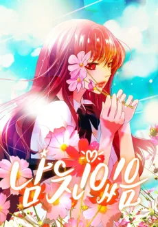 I Got a Boy cover
