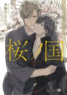 Kirschblüte cover
