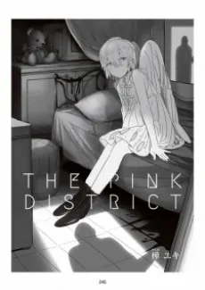 THE PINK DISTRICT cover