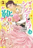 Sakkon no Cinderella wa Kutsu wo Otosanai. cover