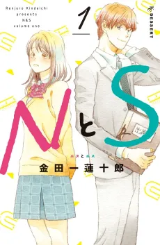N to S cover