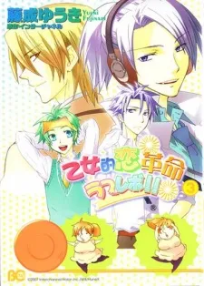 Ugly Duckling's Love Revolution cover