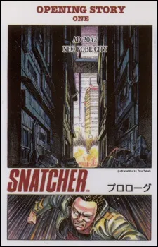 Snatcher cover