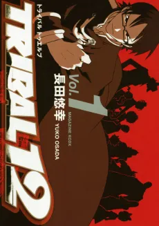 Tribal 12 cover