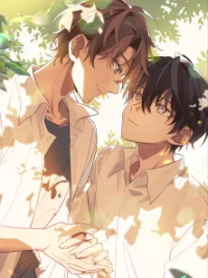 Suiyue Jian cover