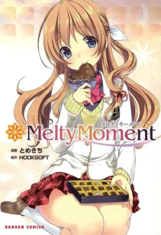 MeltyMoment cover