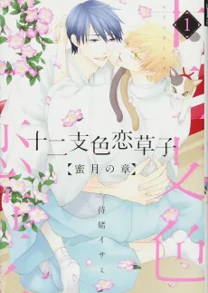 Eto Irokoi Zoushi: Mitsugetsu no Shou cover