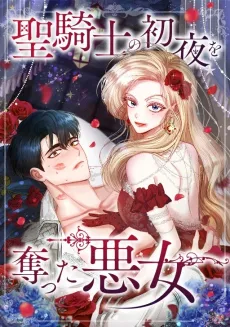 The Villainess Who Stole the Paladin's First cover
