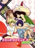 Strawberry 100% cover