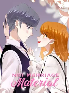 Not Marriage Material cover