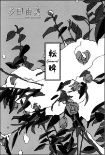Tenshun cover