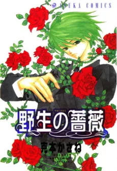 Yasei no Bara cover