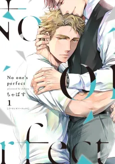 No one's perfect cover