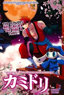 Kamidori cover