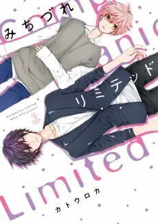 Companion Limited cover