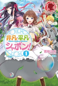 The Extraordinary, the Ordinary, and SOAP! cover
