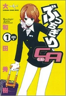 Bucchigiri Cabin Attendant cover