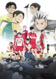 HAIKYU!! LAND VS. AIR cover
