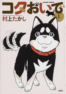 Kota Oide cover