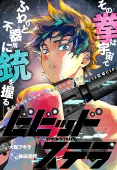 Vivid Stella cover