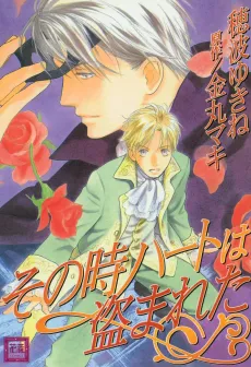 Stolen Heart cover