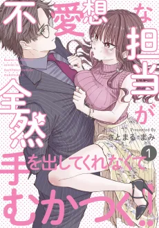Buaiso na Tanto ga Zenzen te wo Dashitekurenakute Mukatsuku!! cover