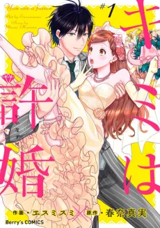 You're the Fiancé! cover