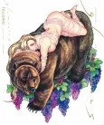 Glamorous Fellows cover