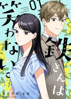 Ms. Ironheart's Illusive Smile cover