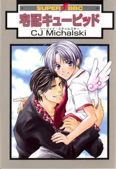 Delivery Cupid cover