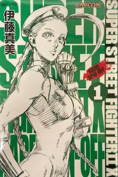 Street Fighter Gaiden cover