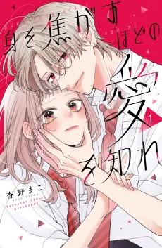 Mi wo Kogasu Hodo no Ai wo Shire cover