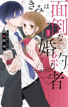 My Troublesome Fiancée cover