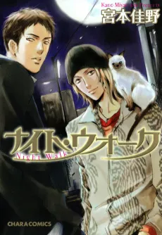 Night Walk cover