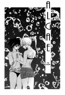 Algae cover