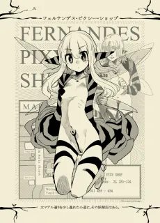 FERNANDES PIXY SHOP cover