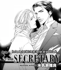 Secretary cover