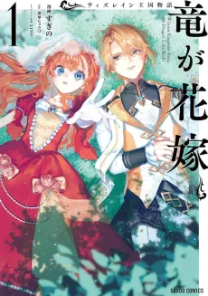 Tale of the Wizrain Kingdom: The Dragon Is the Bride cover
