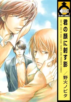 Kimi no Kao ni Sasu Kage cover