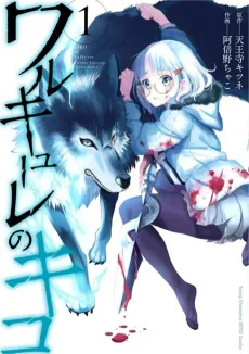 Valkyrie no Kiko cover