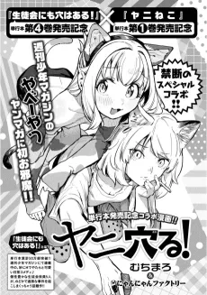Yani Anaru! cover