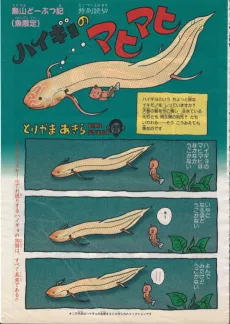 Haigyo no Mahimahi cover