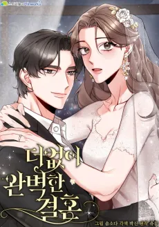 The Most Perfect Marriage cover