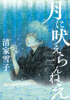 Tsuki ni Hoeran nee cover