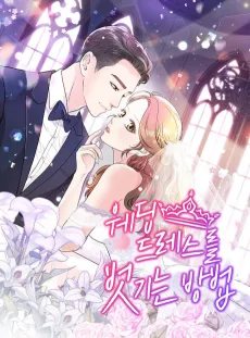 The Romantic Merger cover