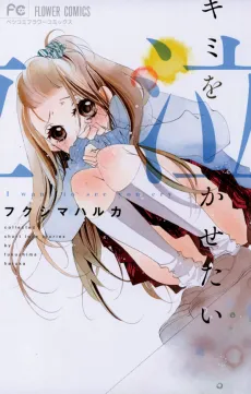 Kimi wo Nakasetai cover